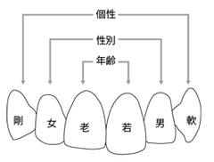 前歯